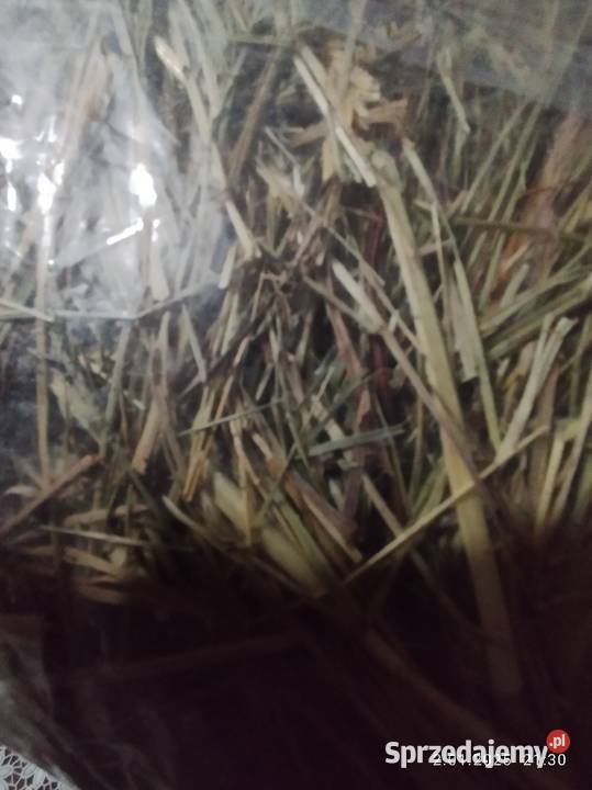 Siano pakowane naturalne Zwierzęta kujawsko-pomorskie Kcynia