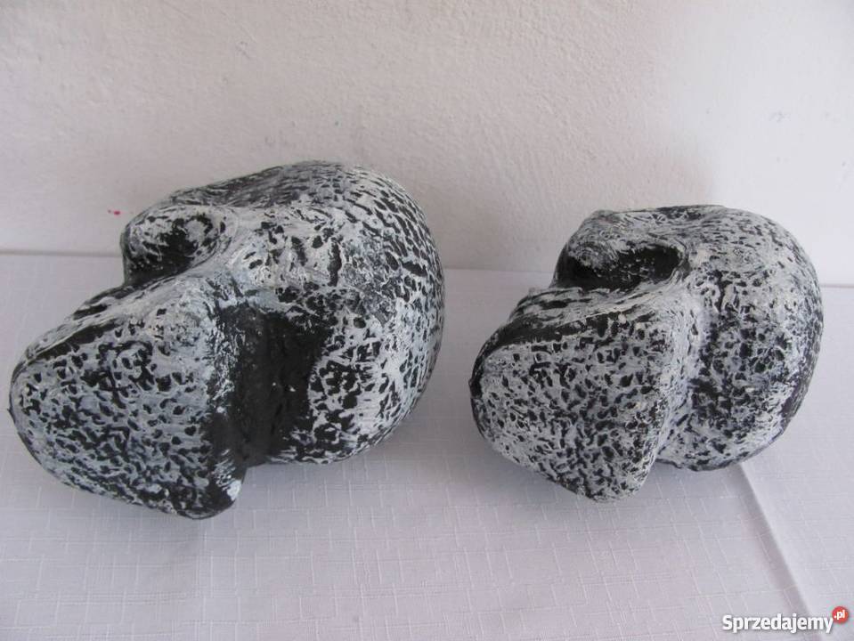 czaszki na halloween 2 sztuki Zamość sprzedam