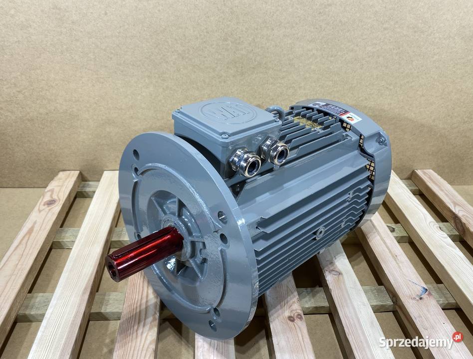 silnik elektryczny 15kW 2900obr 3fazowy Pozostałe