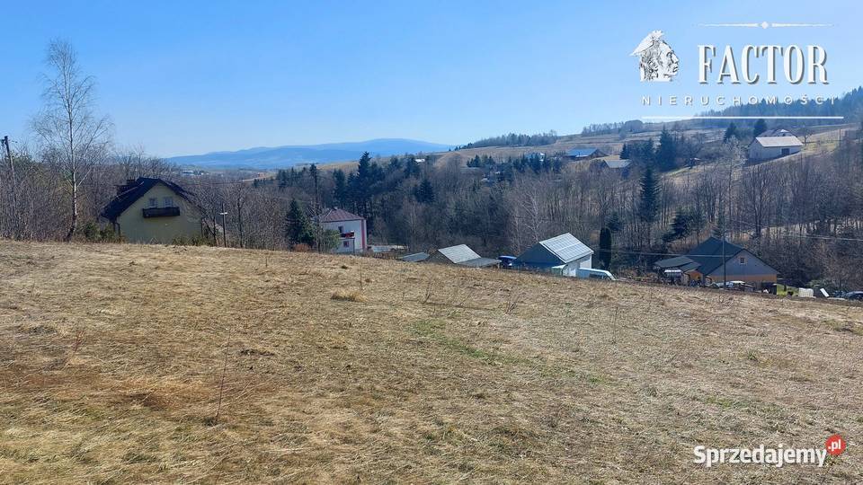 Działka budowlana 1279 ara Bieśnik gm Łużna