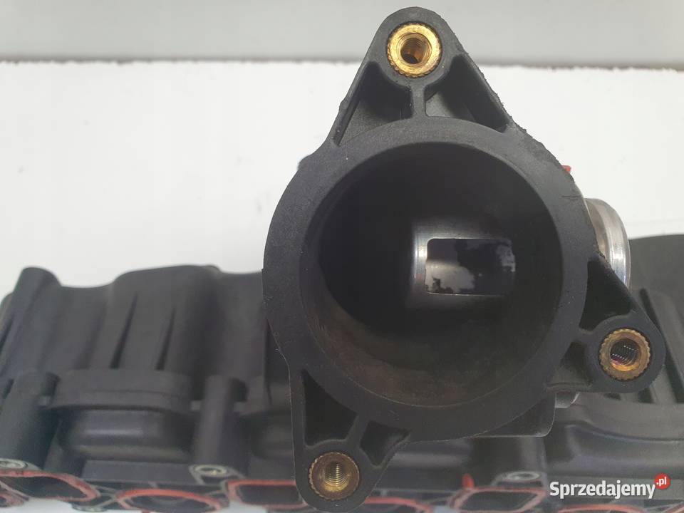 Audi A3 II 8P 16 TDI KOLEKTOR SSĄCY nastawnik osobowe