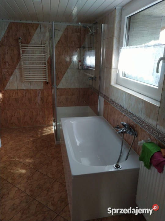 Wynajem asfalt