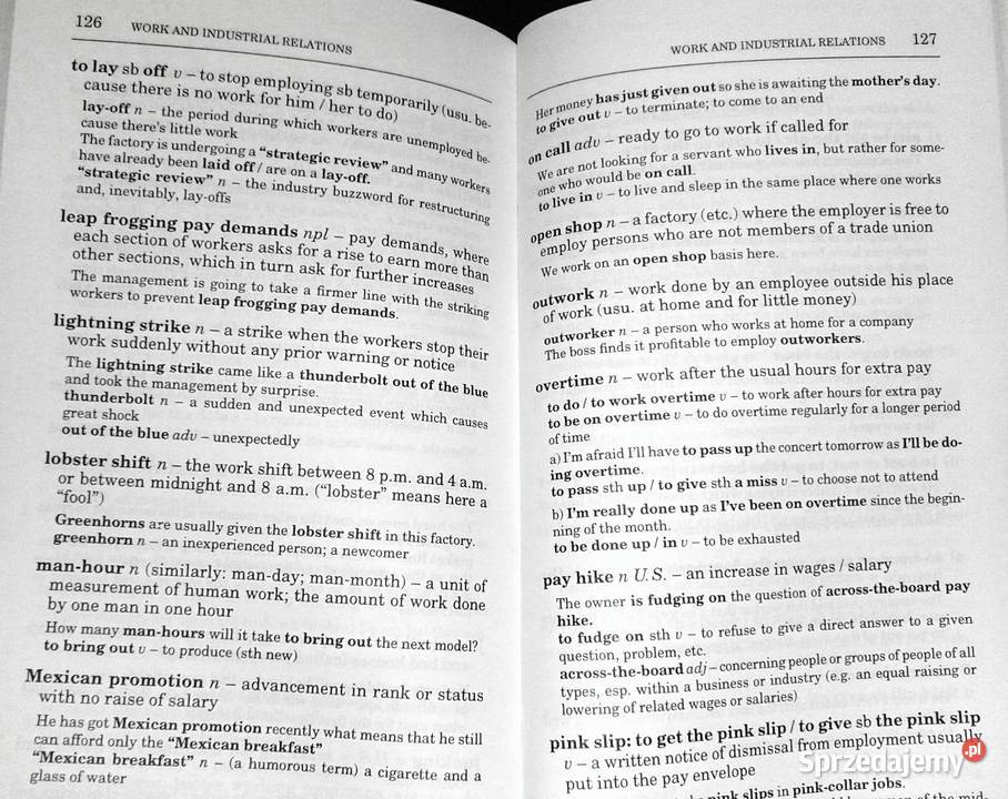 Business colloquialese Język potoczny biznesu Rok wydania 1996 lubelskie Chełm