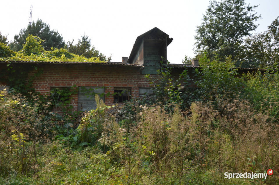 Działka budowlana Urzędów centrum 25 a