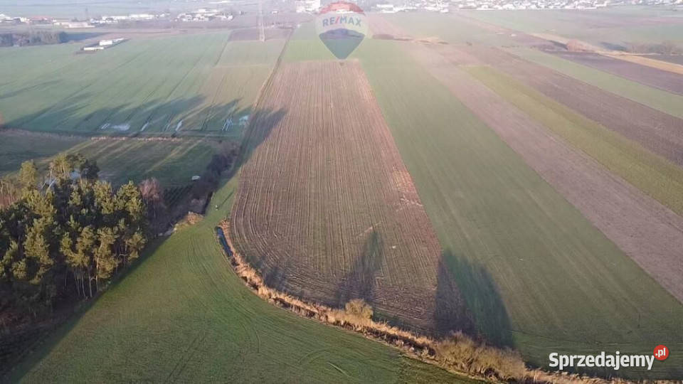 Działka inwestycyjna Przemysł 29ha Borek Wielkopolski sprzedam