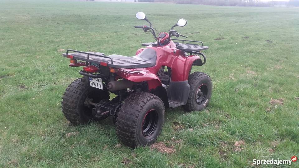 MOTORTEK TM 175 Ostoje