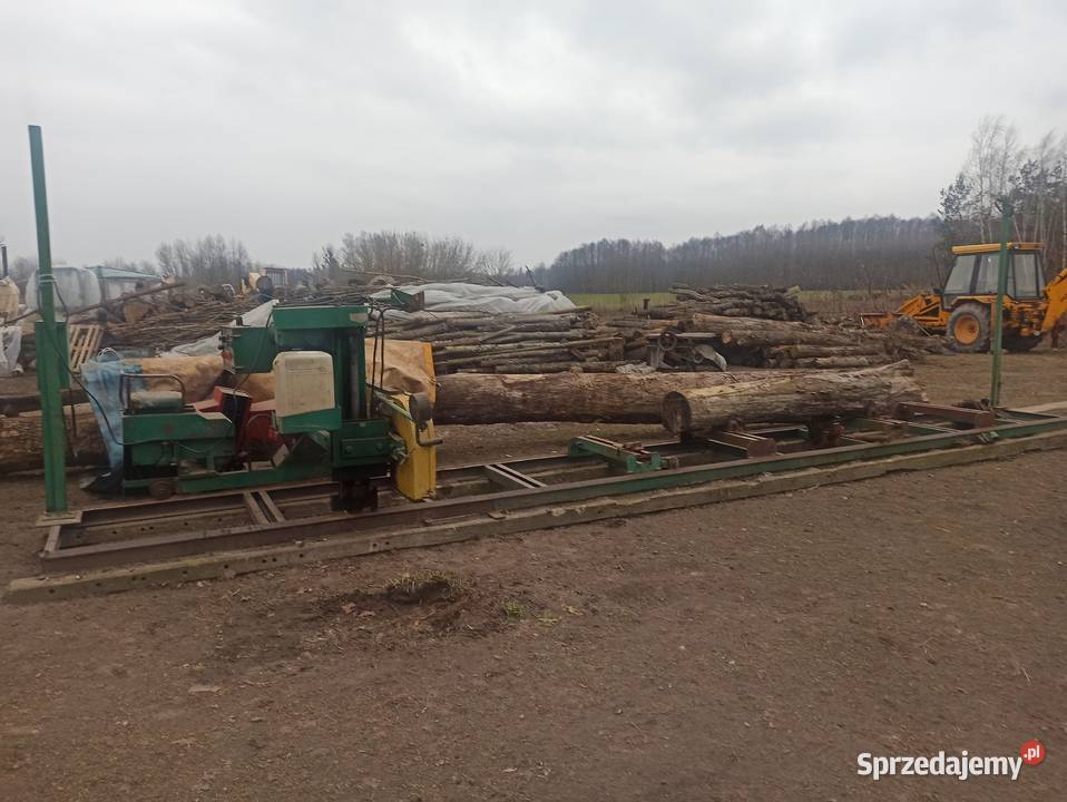 Trak taśmowy Drozdowski trm800 Chełm