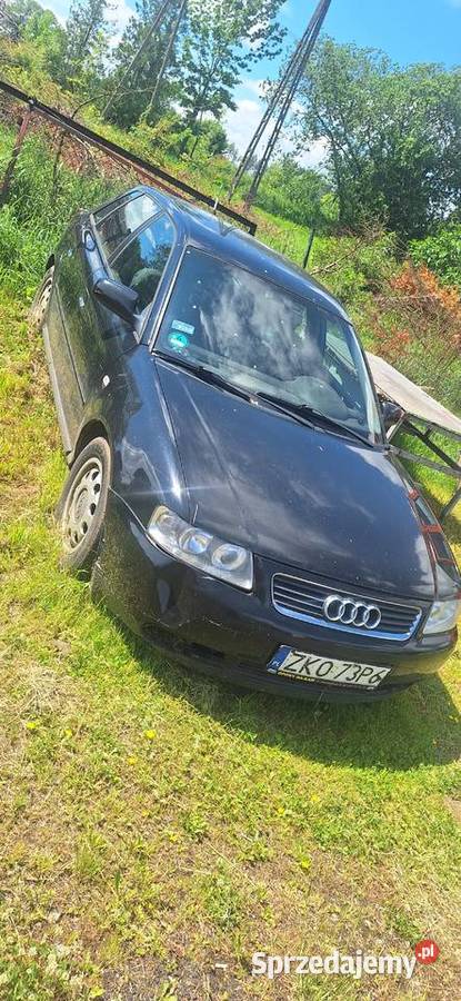 Audi a3 8l części Polanów