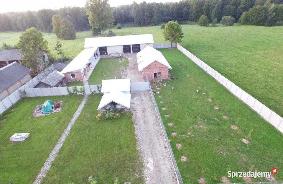 Budynki gospodarcze z dużą działką Kolonia Gołąb asfalt lubelskie Gołąb-Kolonia sprzedam