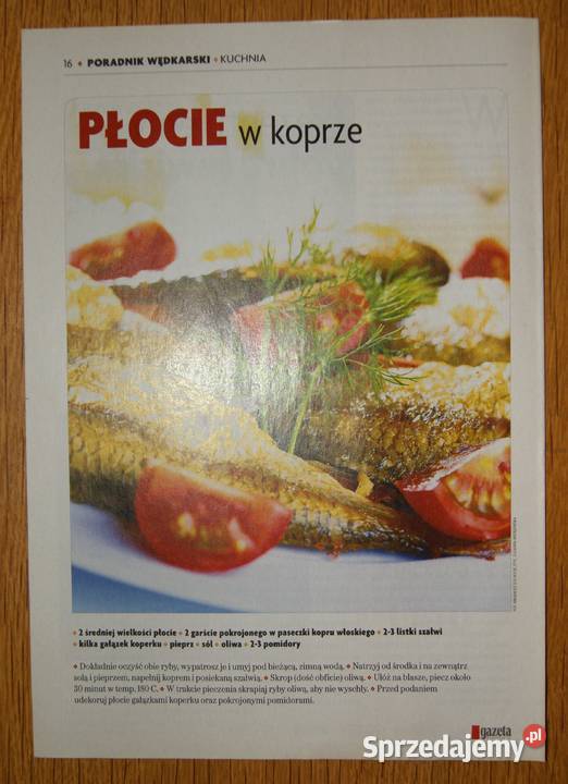 Poradnik wędkarski złowić rybę życia Płoć 36 Rok wydania 2011 Parczew