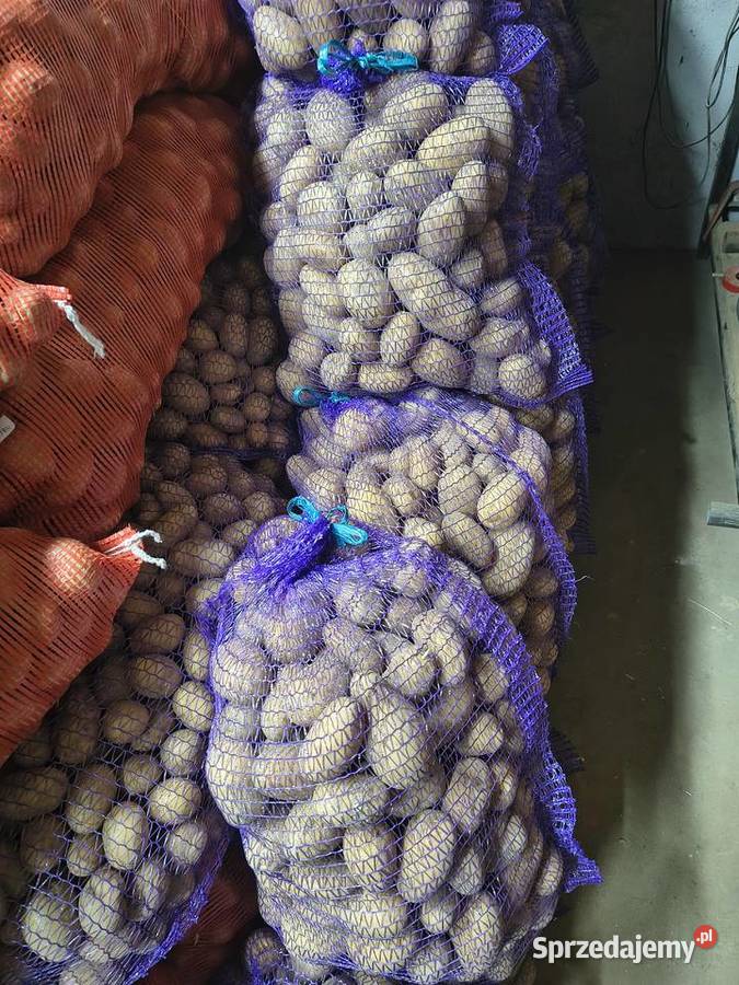 Sprzedam ziemniaki małopolskie