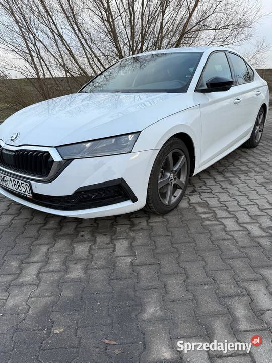 Skoda Octavia IV 2020 teraz OKTAVIA 15 eTec Daszyna