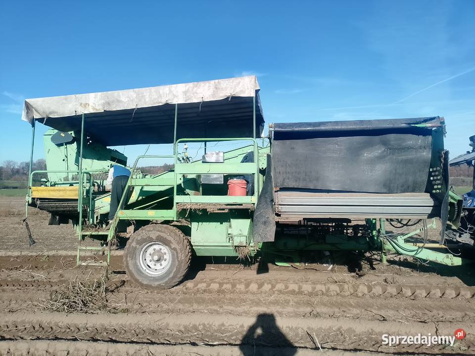 Kombajn wuhlmaus 1733 Rolki sortujące sortownia Bytom Odrzański