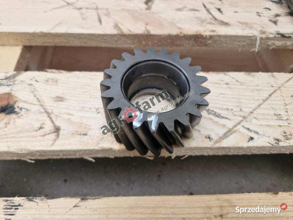 Koło zębate Deutz Dx 410 430 605 610 dolnośląskie