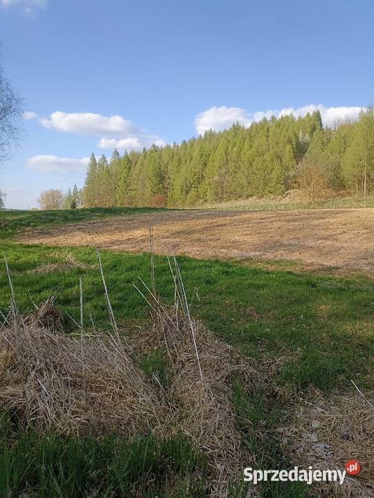 30ar Kościejów gm Racławice