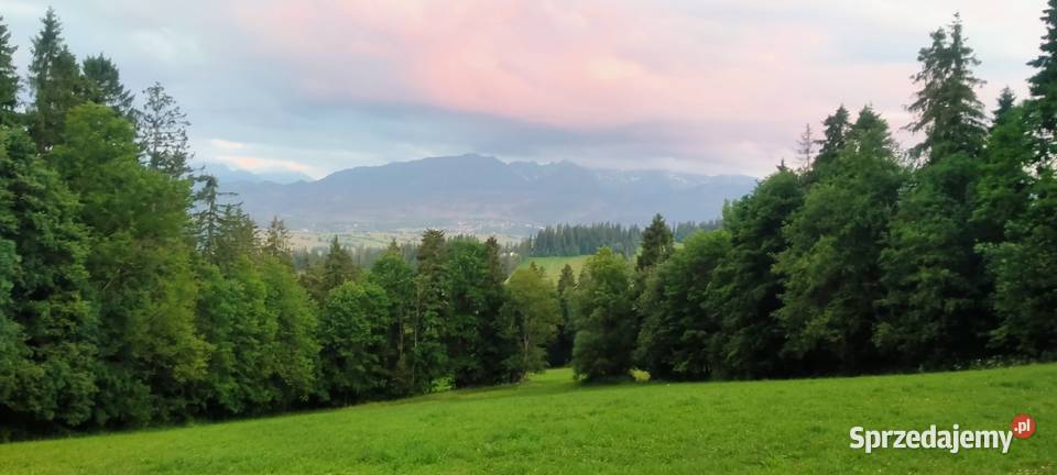 ZAKOPANE GLAMPINGPiękna działka widokowa u stóp 60m Suche