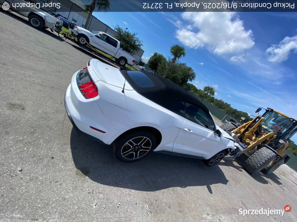 Ford Mustang 23 Ecoboost CABRIO 2020 w drodze do Żórawina