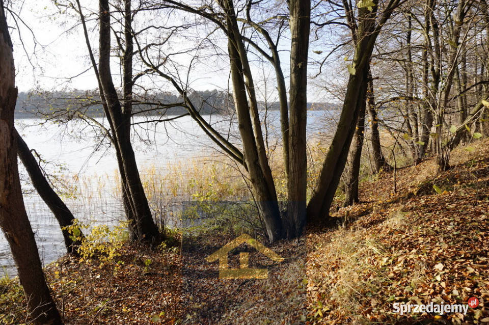 Działka z linią brzegową jeziora Ruś Mała