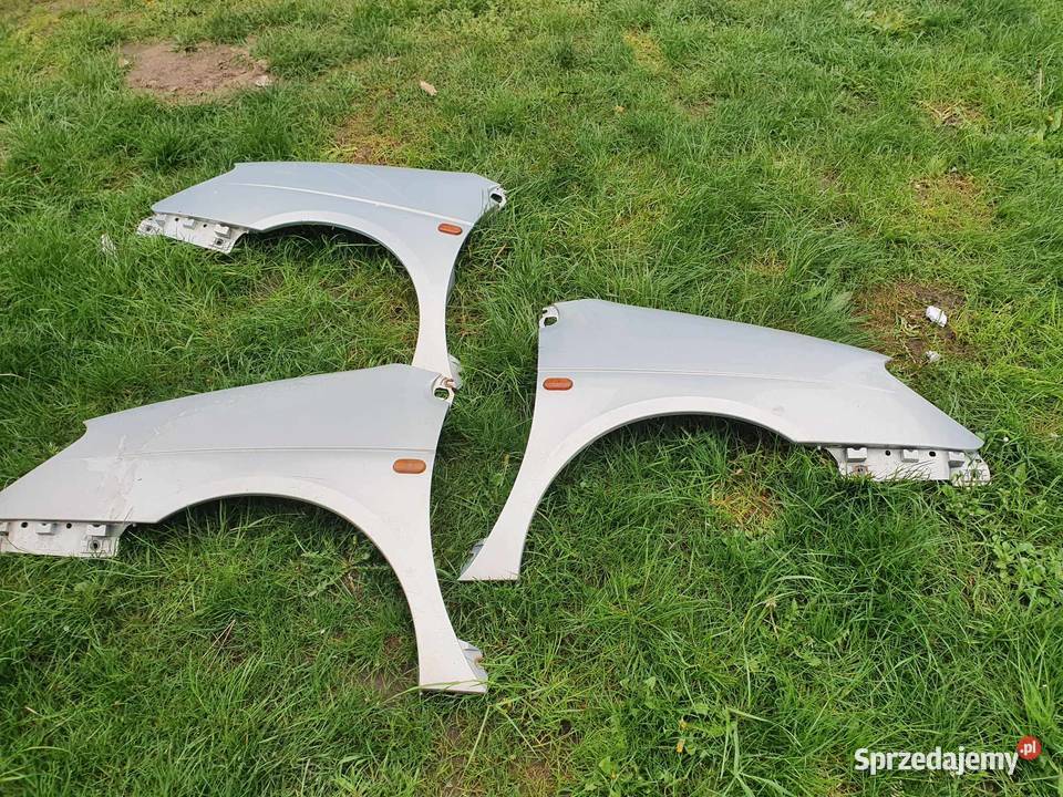 Błotnik lewy prawy przedni przód Renault Scenic małopolskie