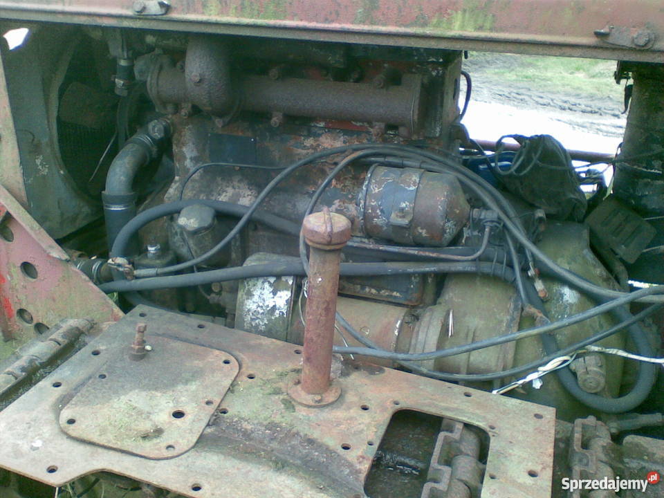 spychacz mazur mazurek Stara Kiszewa