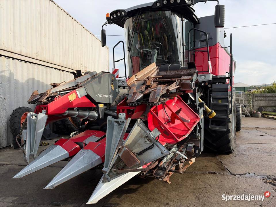 Kombajn Zbozowy Massey Ferguson 7380 Centora Nowa Ruda