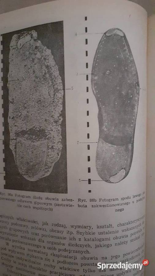 Kryminalistyka Szczecin