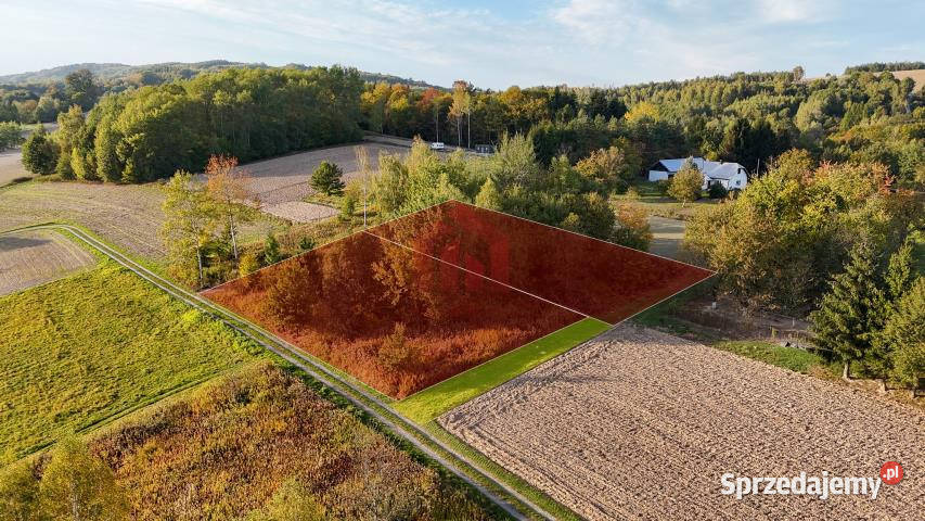 Działka Zagórze 950m2 23m