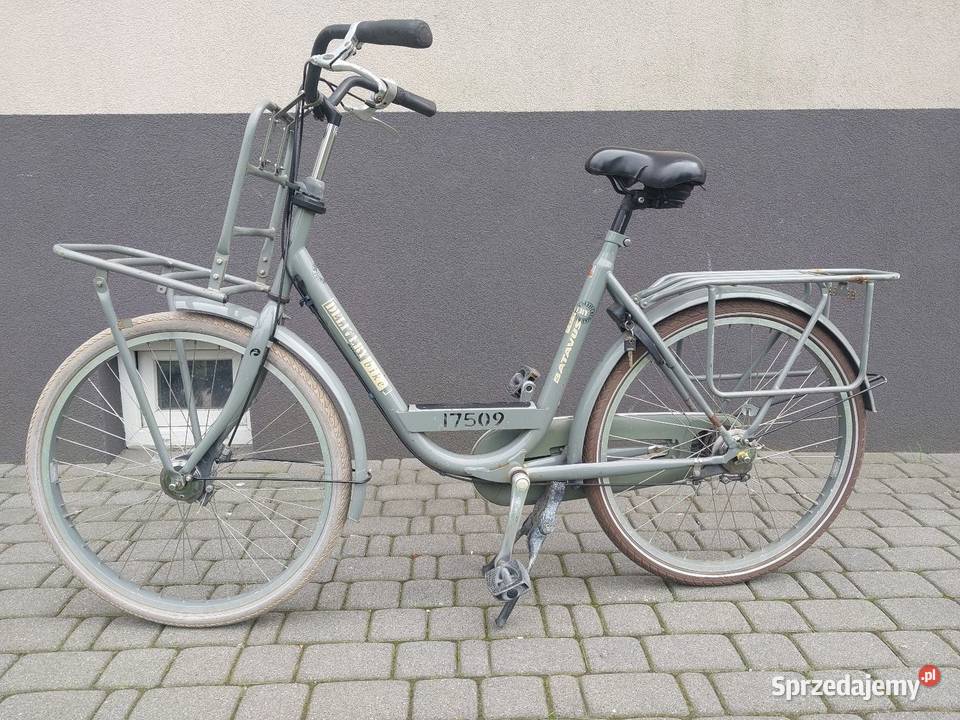 Batavus Delivery Bike rower damski Turek
