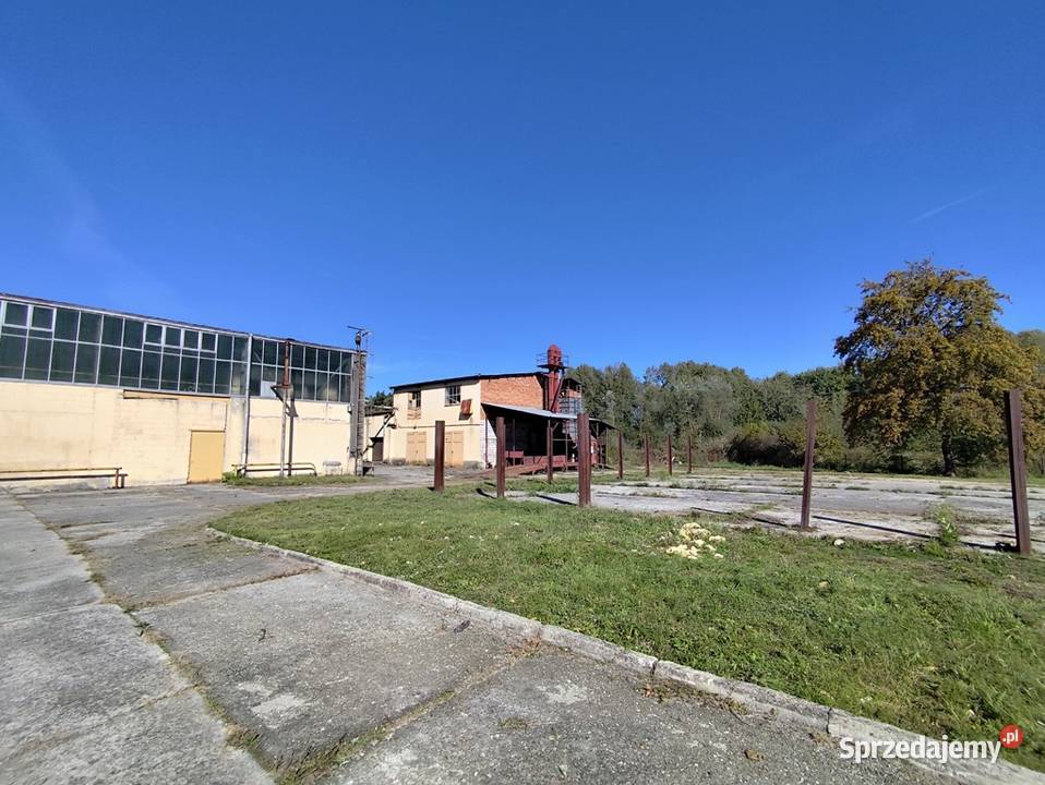 Zakład produkcyjnohandlowy PU 5000m2 IGLOOPOL