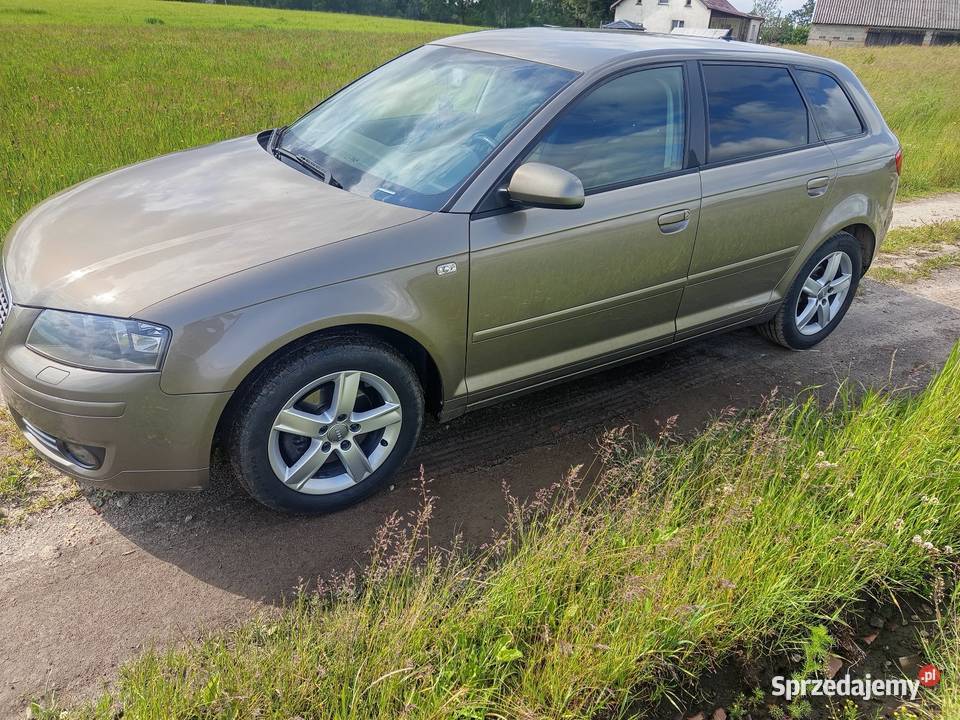 Audi S3 8P 20TDI 140 czujnik deszczu pomorskie Zblewo