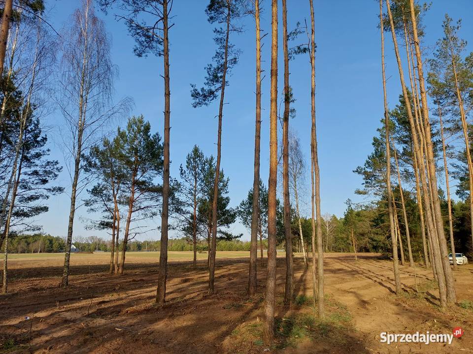 Rogóźno 1261m2 piękna działka rzeki i lasu