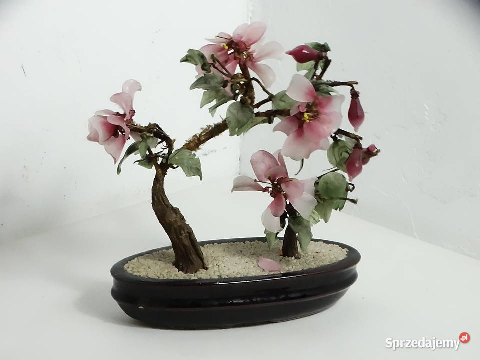 Chińskie Drzewko Bonsai Kwitnące Szkło Kamień lubelskie Biłgoraj