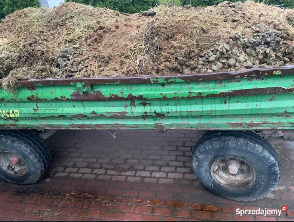 Odbiór dobrego obornika końskiego 5 ton pomorskie Miszewko