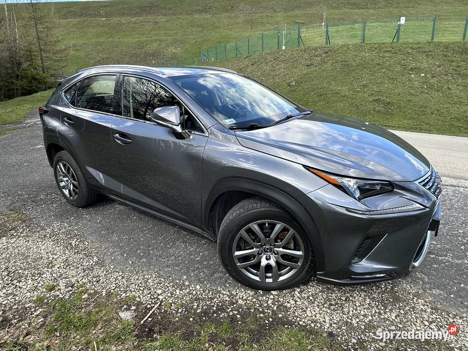 Lexus NX 300 238 AWD HAK Górki Wielkie
