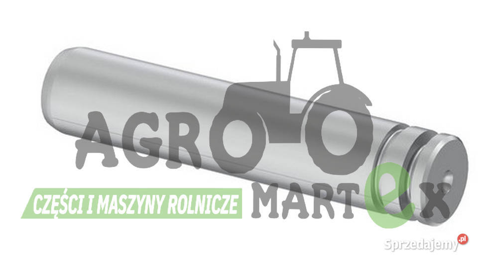 R262515 SWORZEŃ JD Pozostałe dolnośląskie Wichrów