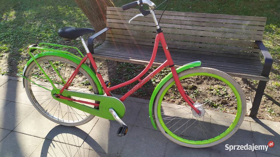 Fajna oldschoolowa damka holenderska PERFORMANCE małopolskie Kraków