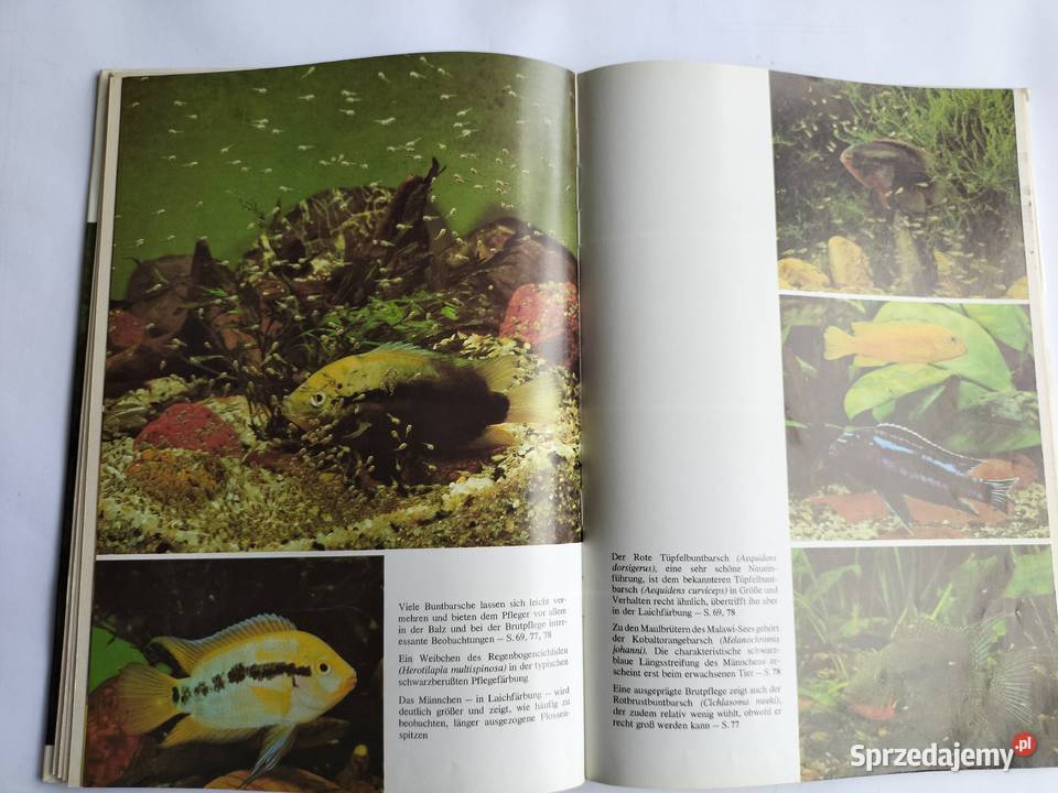 Akwarystyka Aquarienpraxis kurz gefabt Hans Frey biologia, ekologia Gdynia