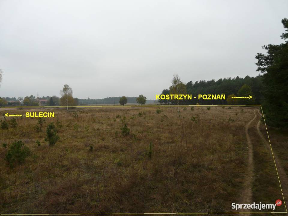 Działka 75 ha sypialnia Gorzów fotowoltaika Maszków