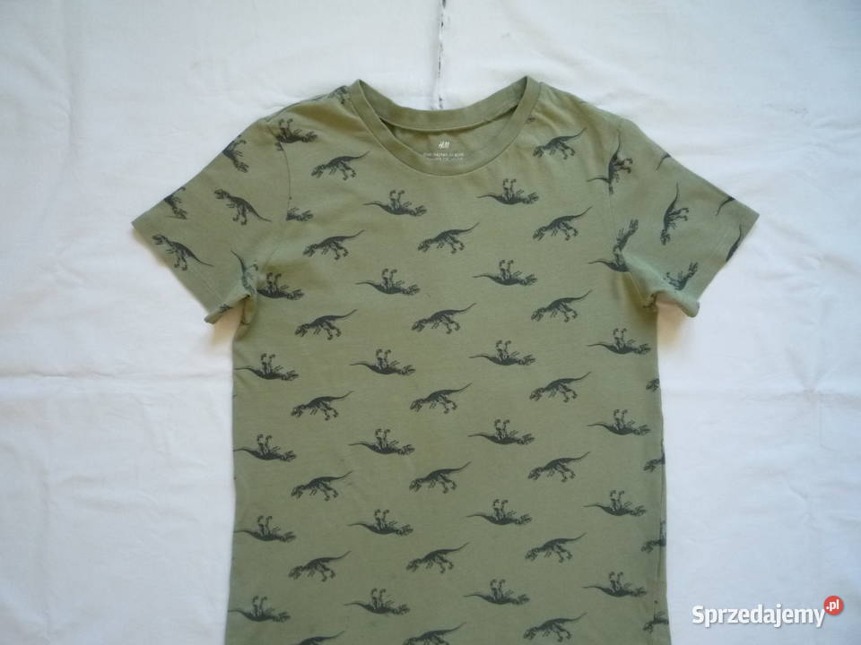 HM 134140 Zielona khaki Koszulka Dinozaury krótki Szczecin