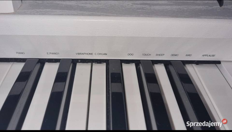 Pianino dzieci Opole