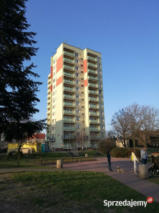 3 pokoje w Katowicach Wajdy 6 piętro 6387 m2 śląskie Katowice