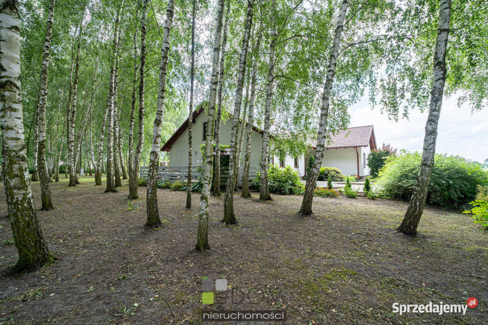 Dom wolnostojący sprzedam 18737m2 Deszczno sprzedam