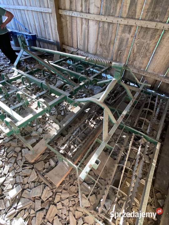 Talerzówka Potok Jaworowski