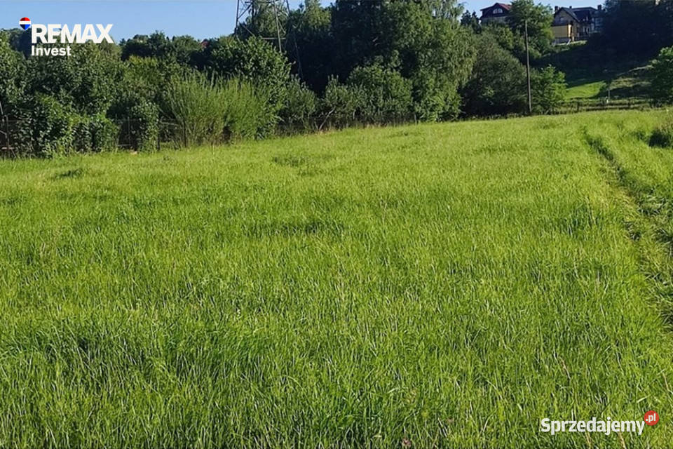 działka w Pietrzykowicach budowlana Pietrzykowice