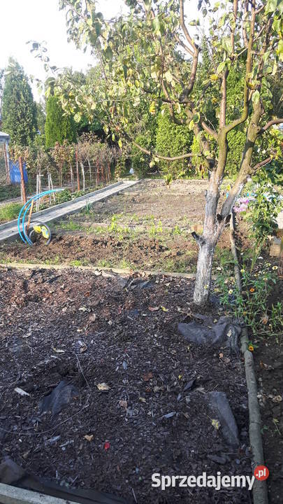 Sprzedam działkę na ROD Stare Stawy Oświęcim sprzedam