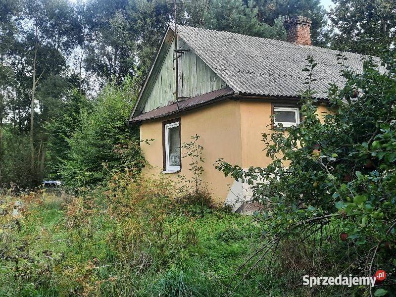 Działka siedliskowa Dragany