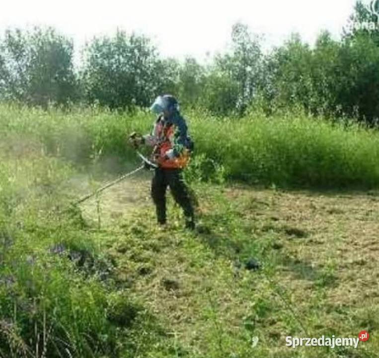 Prace Ogrodowe Pielęgnacja ogrodów i trawników