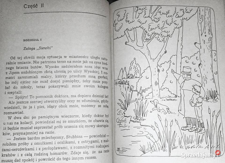 Podróże doktora Dolittle Lofting Hugh Chełm