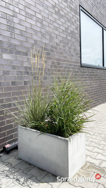 Nowoczesna donica betonowa podkarpackie Rzeszów