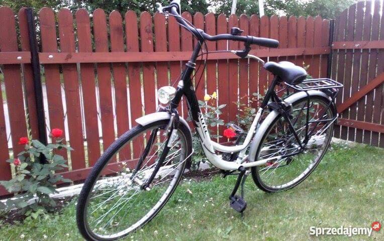 Damka holenderska okazja Miejskie Ciemino